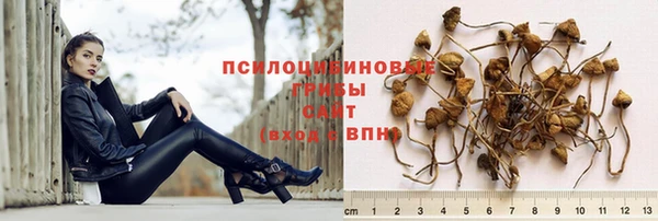 молекула духа Лабытнанги