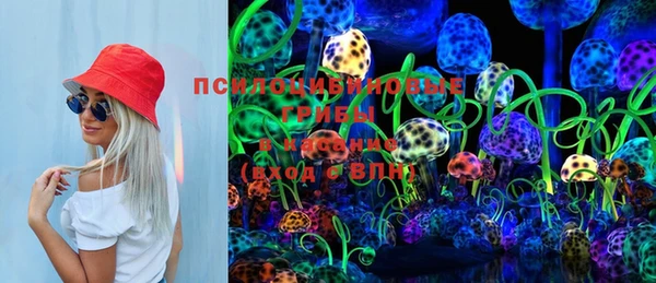 хмурый Куровское