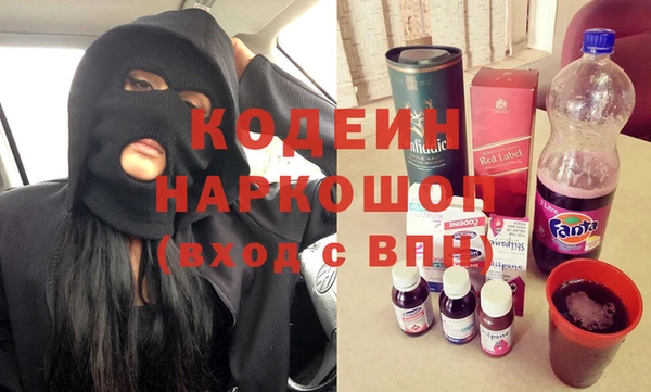 молекула духа Лабытнанги