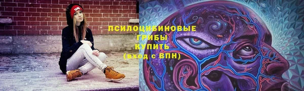 прущие грибы Куртамыш