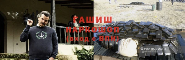 прущие грибы Куртамыш