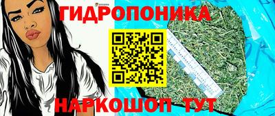 стафф Дубна