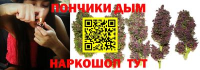 стафф Дубна