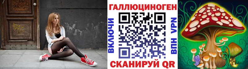 Псилоцибиновые грибы Cubensis Михайловка