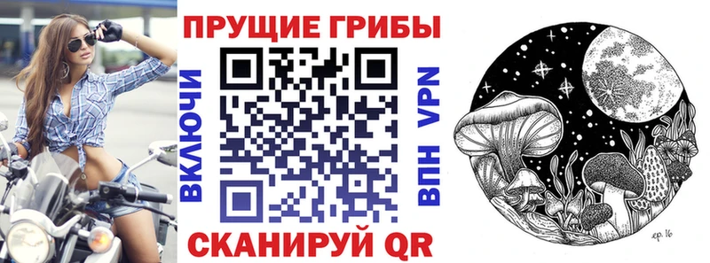 Псилоцибиновые грибы прущие грибы  закладка  KRAKEN рабочий сайт  Михайловка 