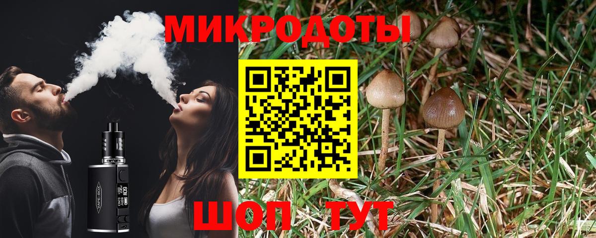 Михайловка  Галлюциногенные грибы мухоморы  Вход с VPN 