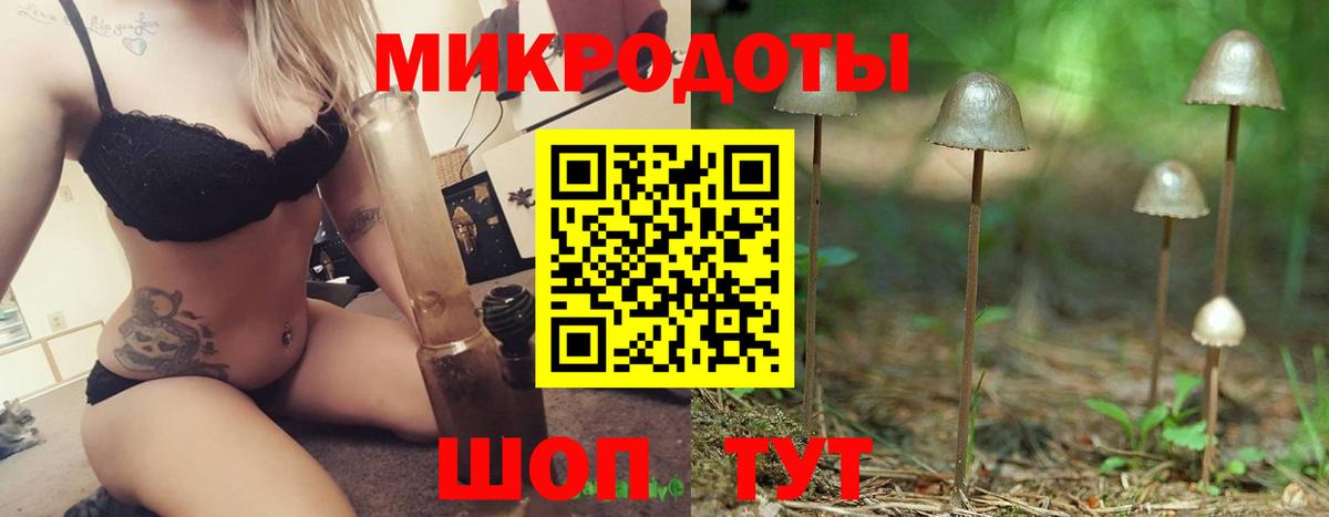 Псилоцибиновые грибы мухоморы Михайловка